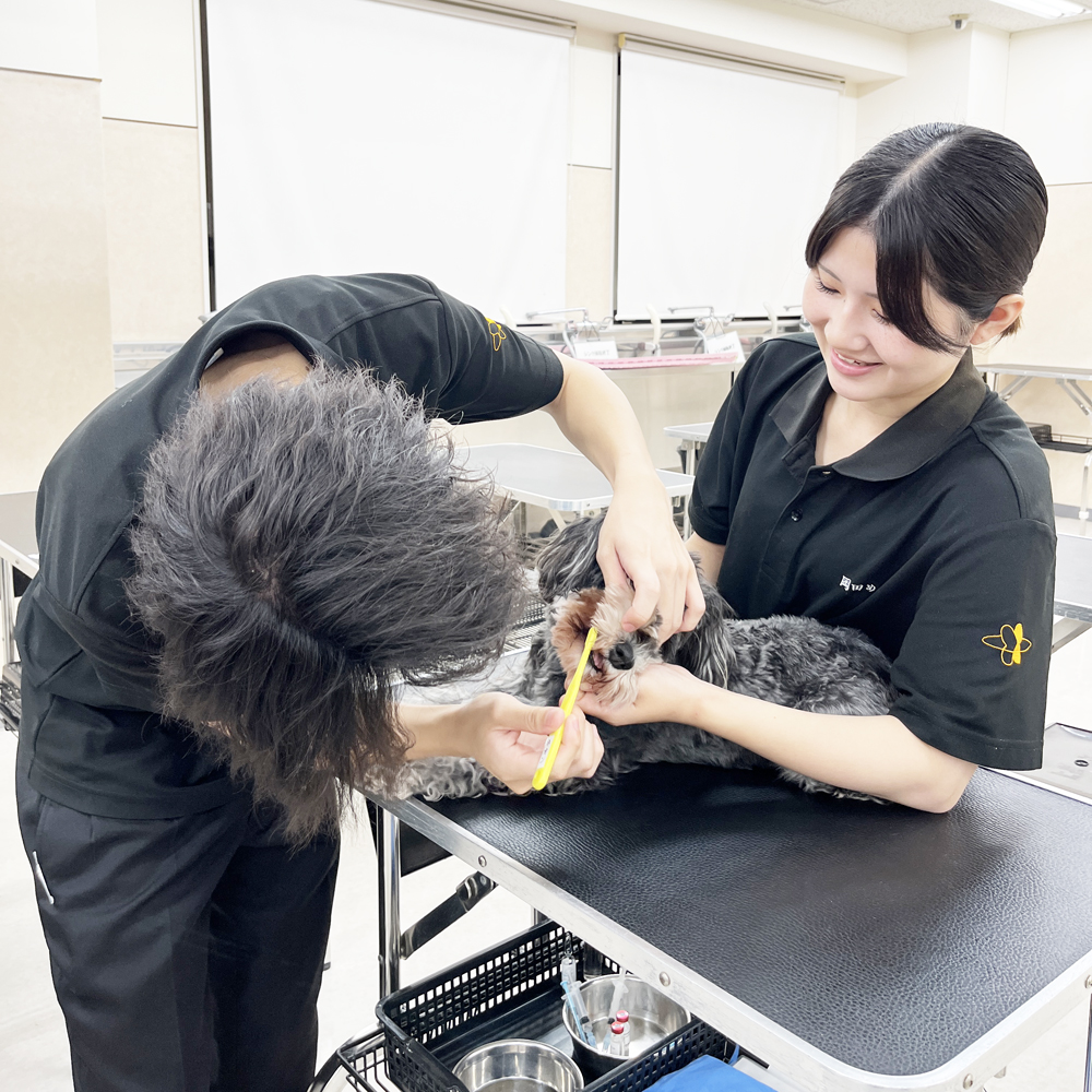 ２年生の看護実習～保定＆歯みがき～
